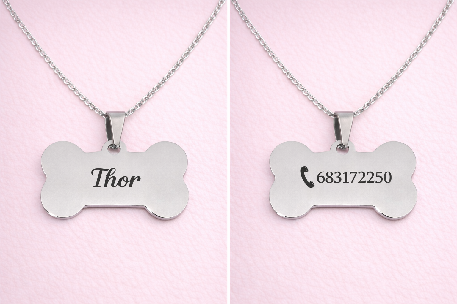 Joya plateada para mascota