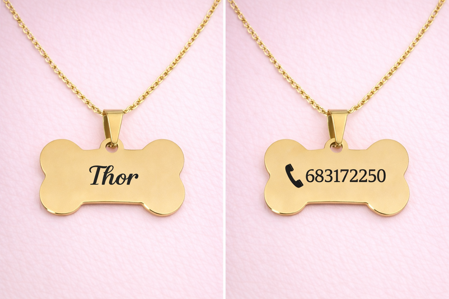 Joya plateada para mascota